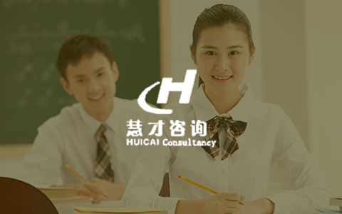 慧才咨询