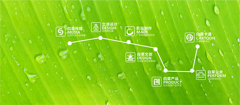 白菜文化传播