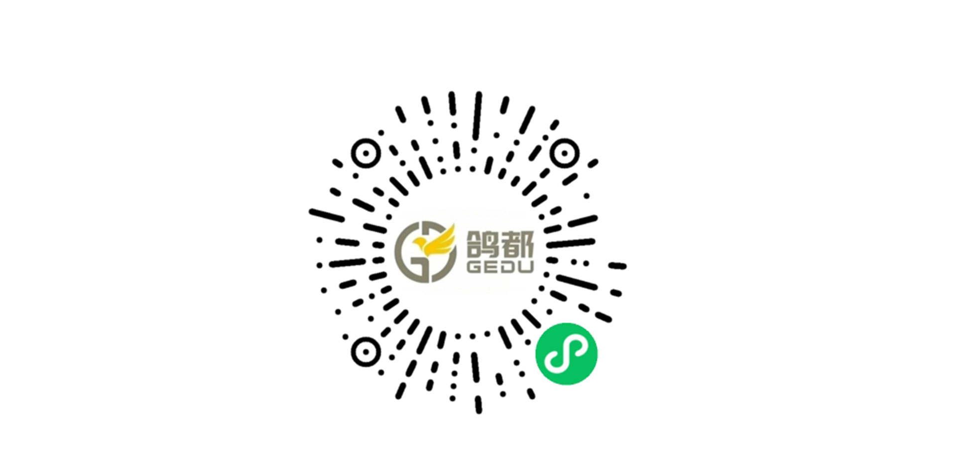 鸽都小程序